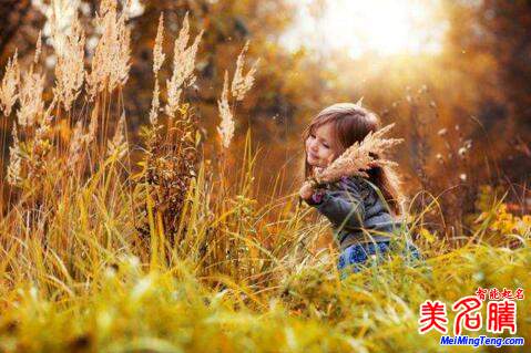 狗年柯姓女孩:起名的必知步驟