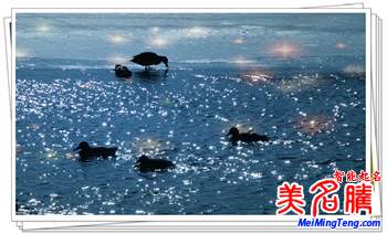 立春、二十四節(jié)氣的第一個(gè)  生肖屬相的起點(diǎn)