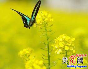 怎樣給自己起網(wǎng)名?