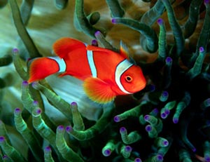 名字給人的感覺(jué):明星們的藝名和改名前的原名