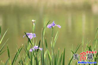 你見過哪些奇葩的WIFI名字?