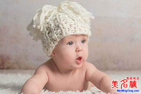 2019豬年寶寶運勢如何?