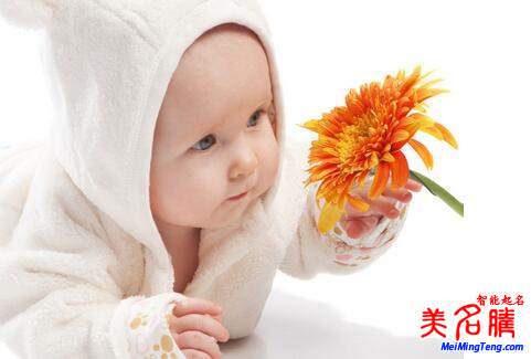 用字輩起名法給寶寶起名,輩分字起名