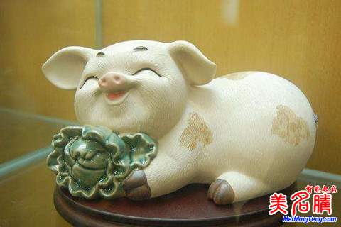 劉姓寶寶屬豬如何起名,劉姓寶寶起名