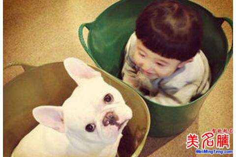 用詩經(jīng)、楚辭經(jīng)典為寶寶起名