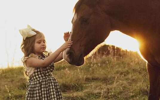 160個(gè)屬牛女寶寶名字大全