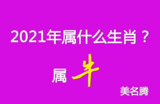 2021年屬什么生肖?2021年屬牛
