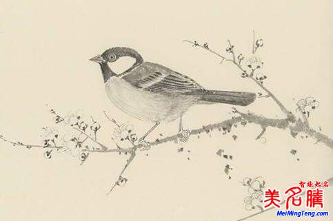 2018梅姓寶寶最詩意、最不凡的名字大全