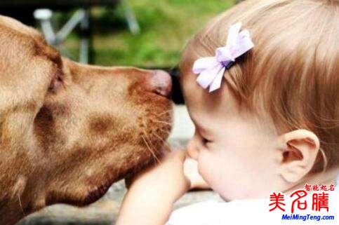 狗年紀(jì)姓寶寶起名要去掉這幾個小毛病