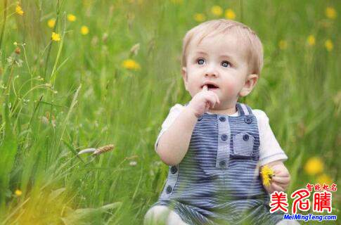 2019年屬豬寶寶運(yùn)勢分析和名字大全推薦